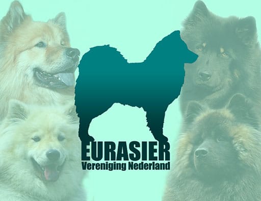 Eurasier Vereniging Nederland