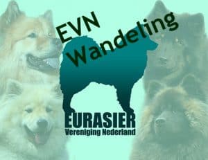 Eurasier-Vereniging-Nederland-Wandeling-Thumbnail-300x231