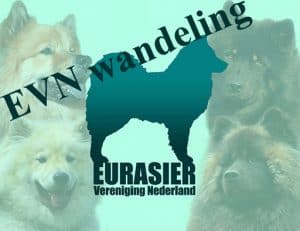 Eurasier_Vereniging_Nederland_Wandeling_Thumbnail
