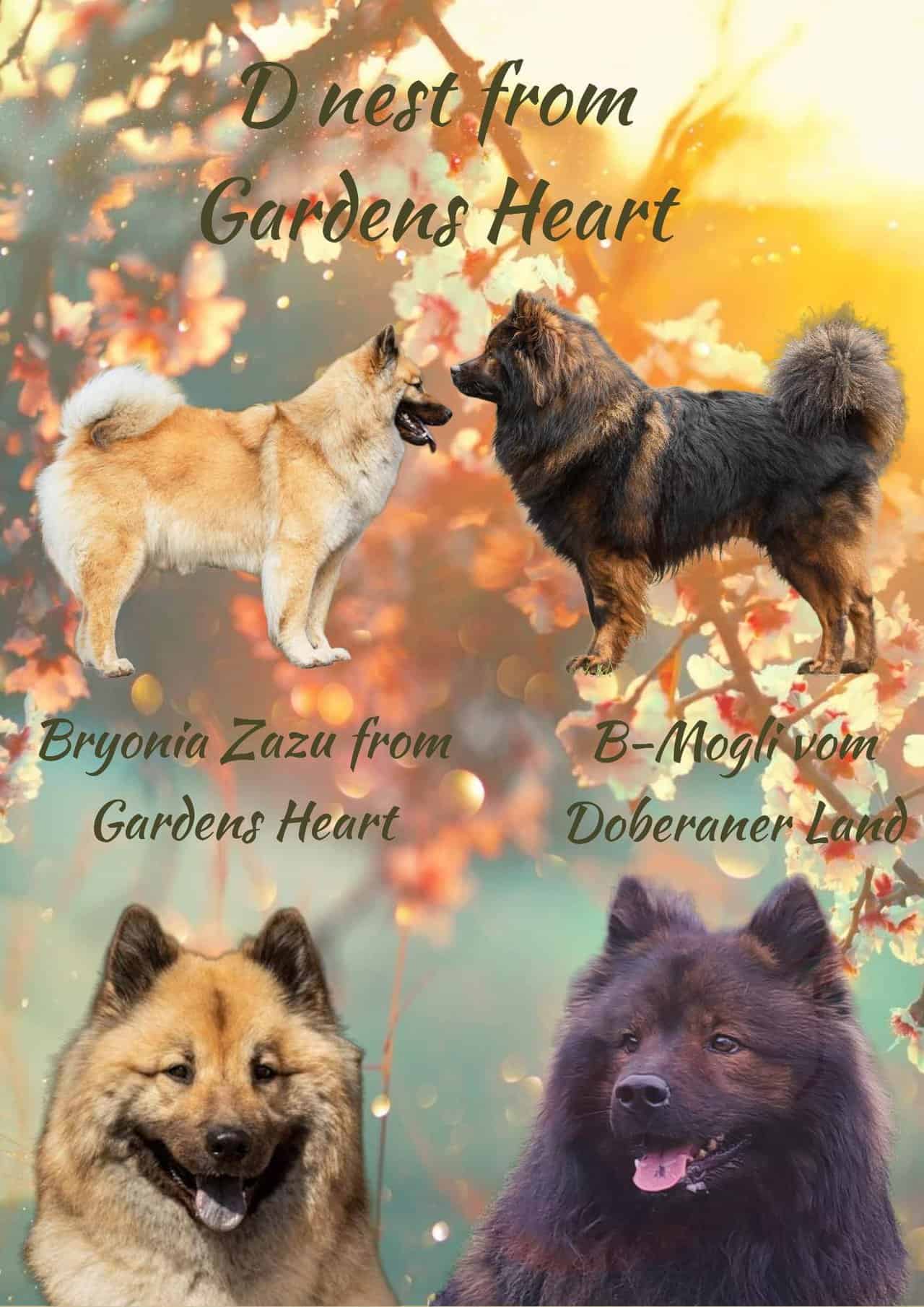 From Gardens Heart D-nest
