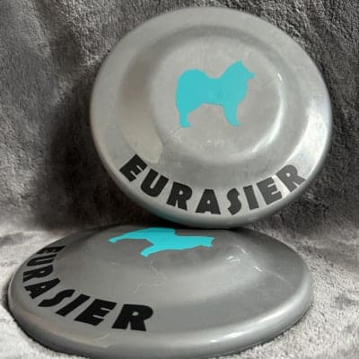 EVN-winkeltje: Grijs metallic hard kunststof frisbee met turquoise Eurasier en tekst