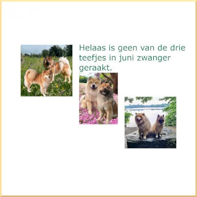 Helaas geen zwangerschap