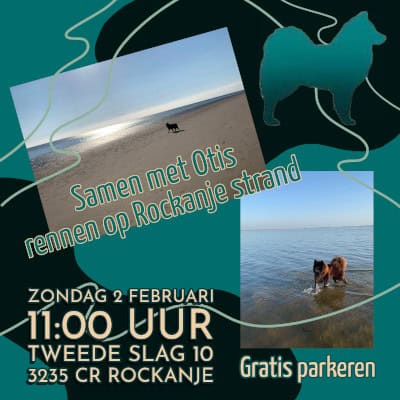 EVN wandeling Rockanje strand