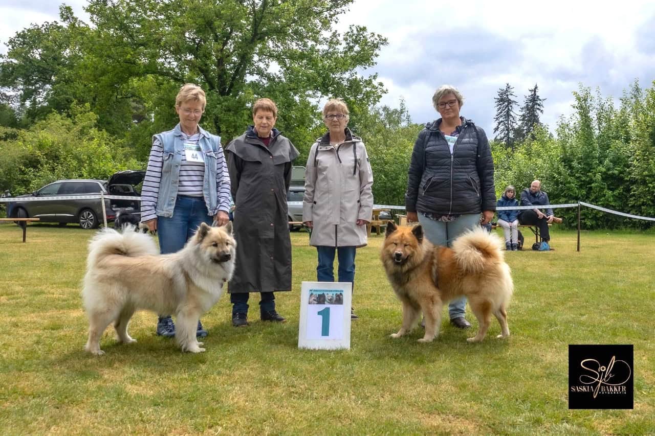 EVN Kampioenschapsclubmatch 25 mei 2025: de BOB en de BOS