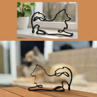 EVN-winkeltje: 3D-geprinte liggende Eurasier