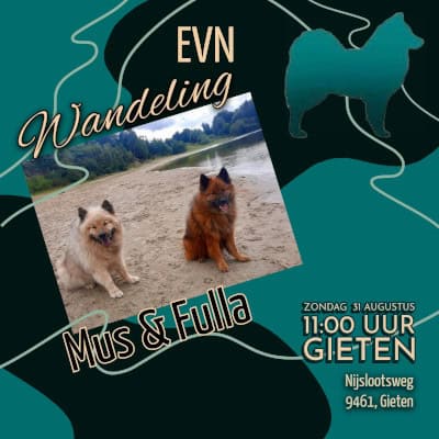 EVN wandeling 31 augustus in boswachterij Gieten