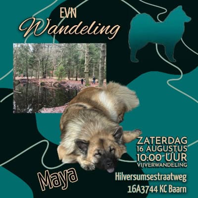 EVN wandeling 16 augustus: Vijverwandeling in Baarn 