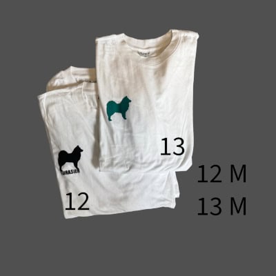 T-shirt nr 12M, 13M