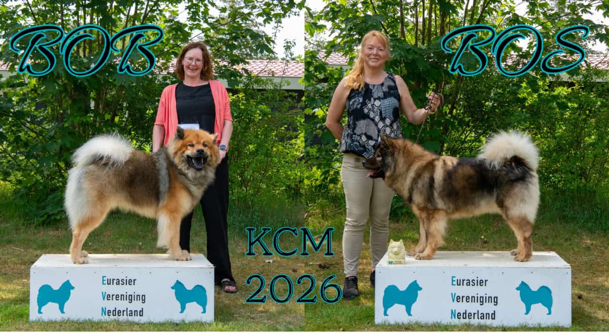 EVN Kampioenschapsclubmatch 2026: BOB en BOS
