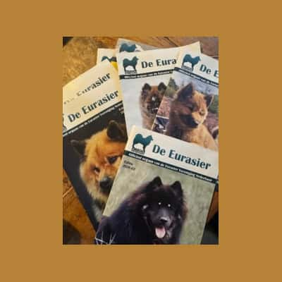 Vacature redactielid voor het clubblad De Eurasier