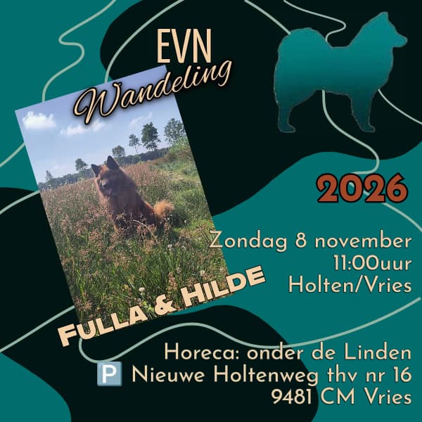 EVN wandeling 8 november 2026 in De Holten in Vries